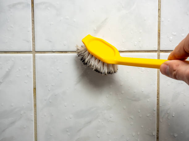 Best Water Damage Restoration  in Rockville, CT