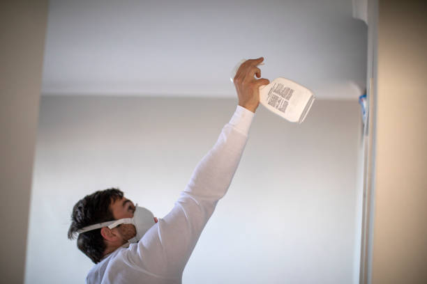 Best Fast Mold Removal  in Rockville, CT