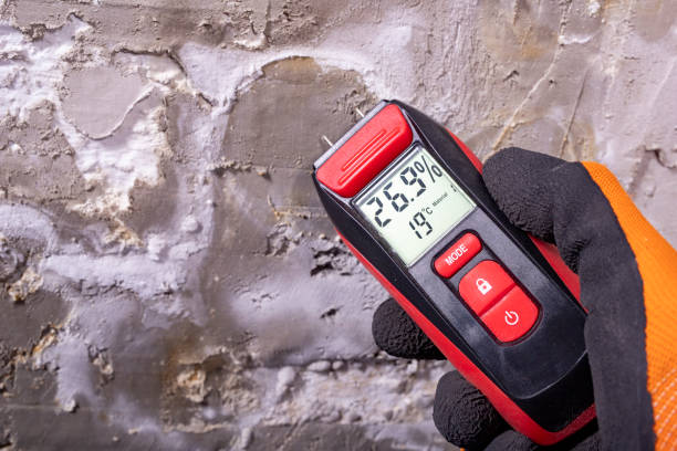 Best Toxic Mold Removal  in Rockville, CT