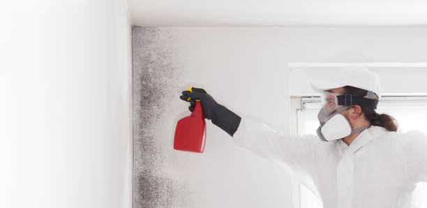 Crawl Space Mold Removal in Rockville, CT