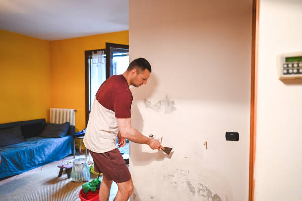 Best Affordable Mold Removal  in Rockville, CT